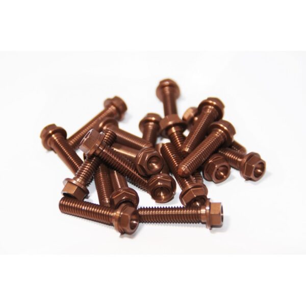 *TMV Flangeheadbolt M6X25 Gun Metal (20pcs)