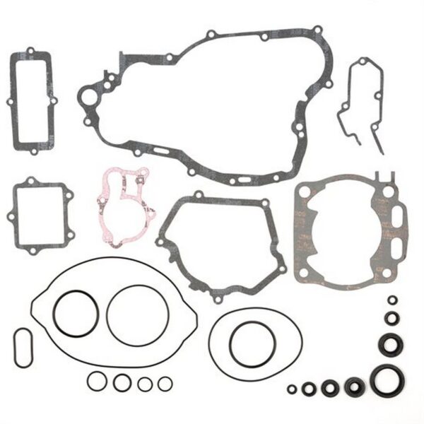 ProX Compl. Gasket set YZ250 02-20