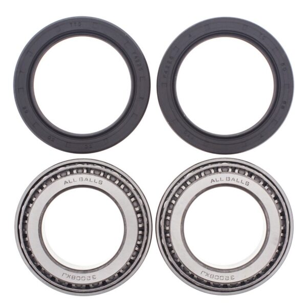 All Balls- Wheel Bearing Kit Rear Can-Am DS650 00-07