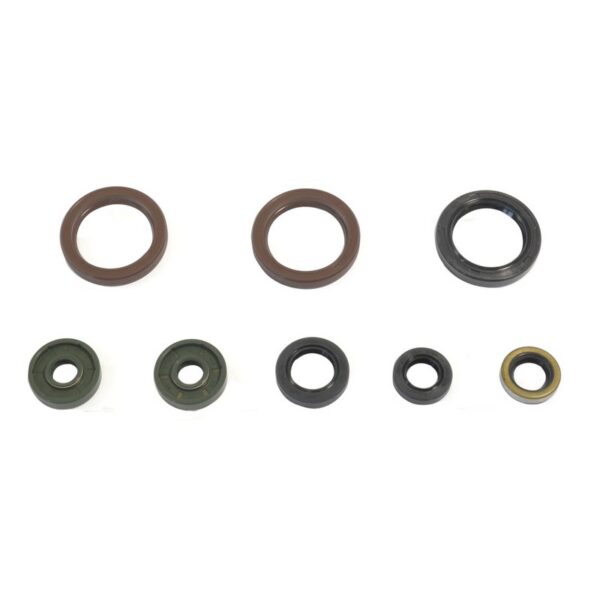 Ath Eng Oil Seal Set fits for SX450F 13 EXC-F450/500 13