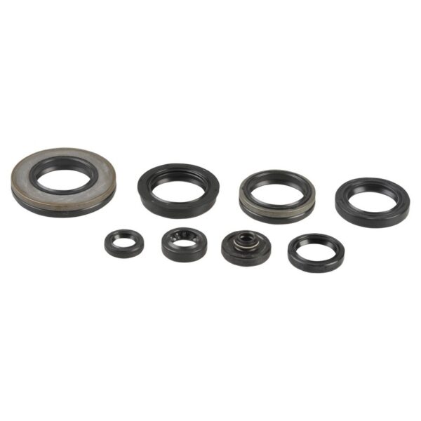 Athena Engine Oil Seal Kit RM250 03-08